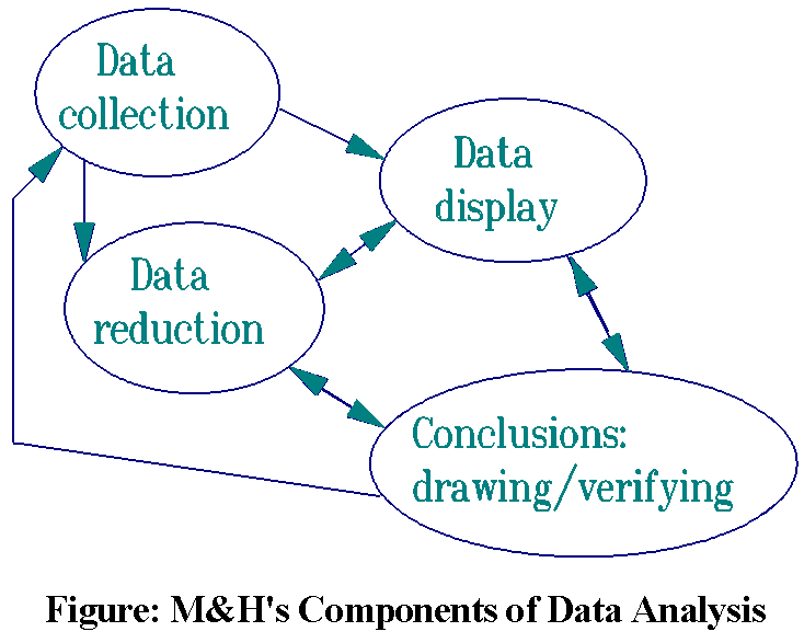 Components of Data Analysis